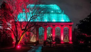 Edinburgh Botanic Garden